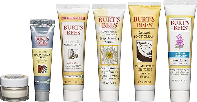 Burt's Bees Fabulous Mini's Travel Set