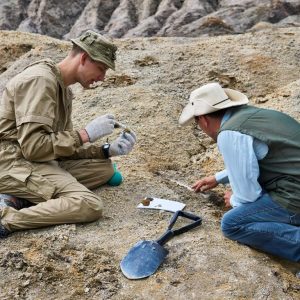 best gift ideas for archaeologists